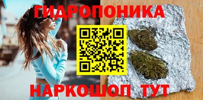 крисы Сланцы