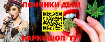 крисы Сланцы