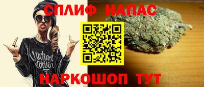 МДПВ Славгород