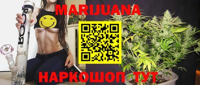крисы Сланцы
